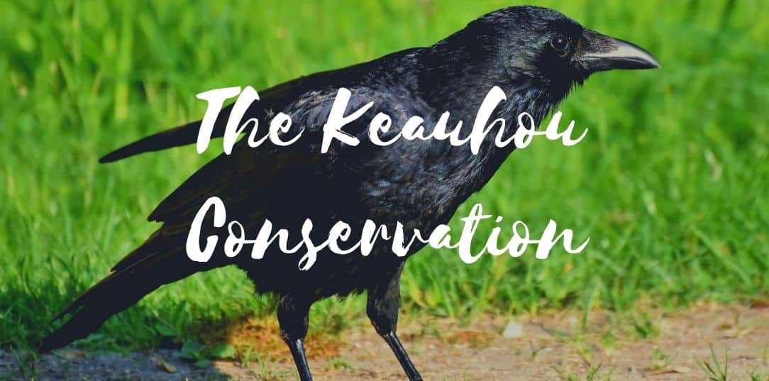 The Keauhou Conservation