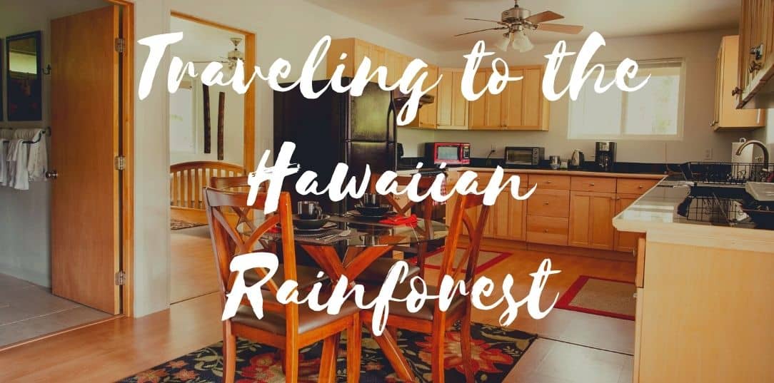 Traveling to the Hawaiian Rainforest