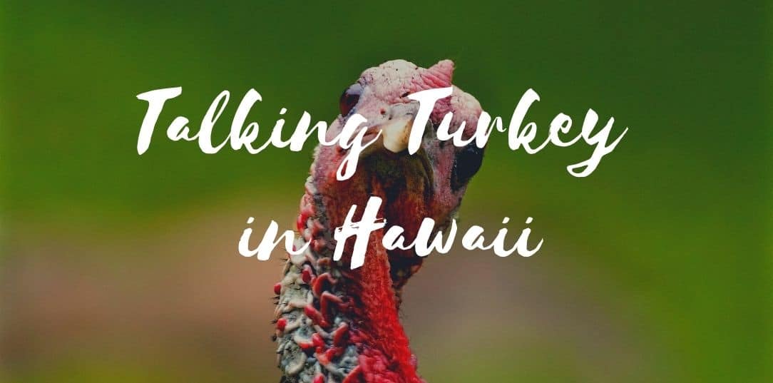 Hawaii Thanksgiving