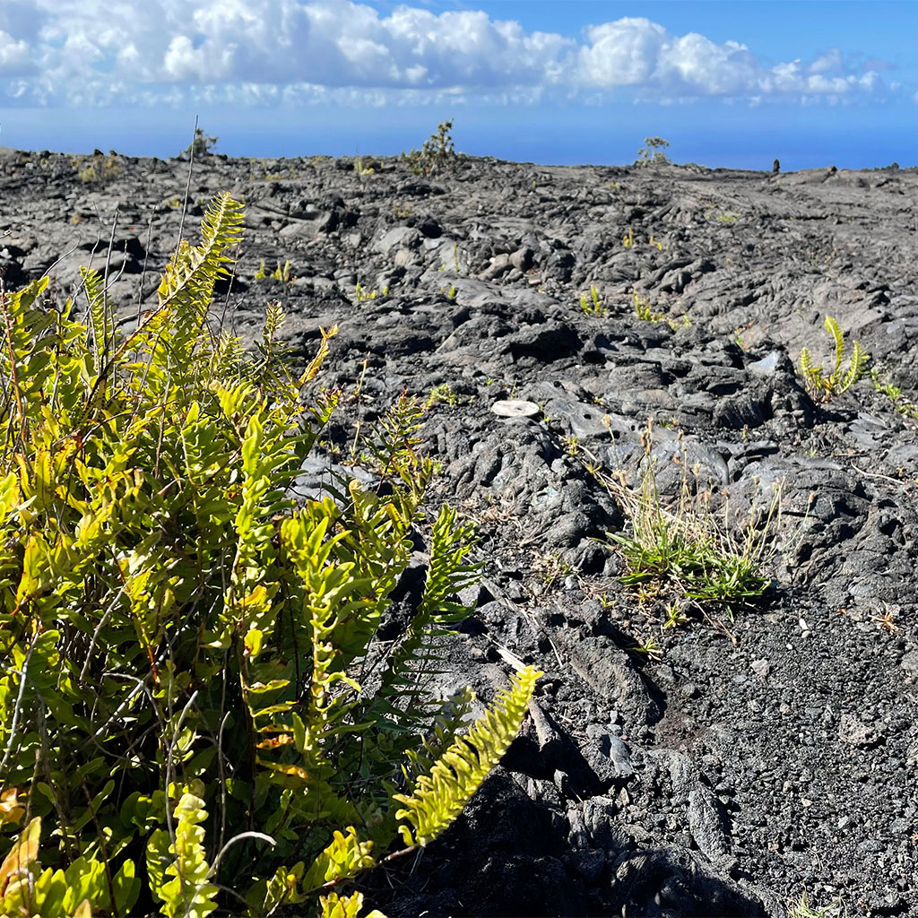 Hawaii family guide: Visit the Chain of Craters Road Trail
