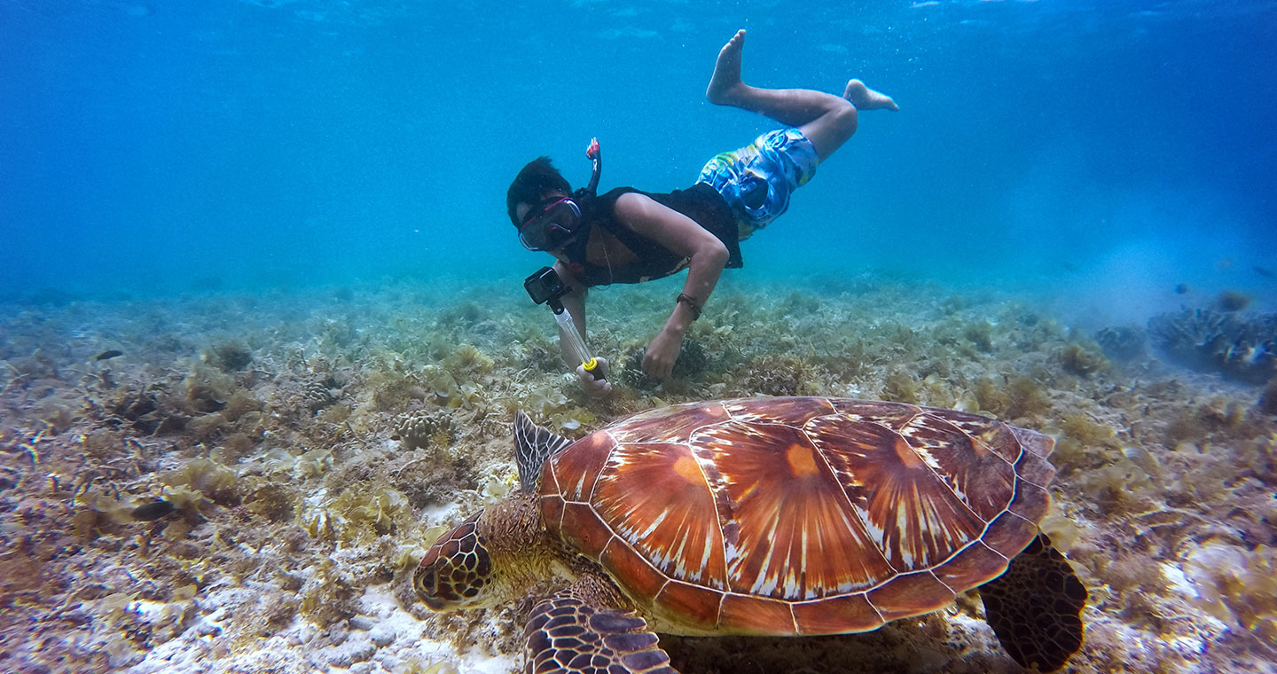 A man snorkeling and encountering a sea turtle - one of the activities you can try when visiting Hilo beaches