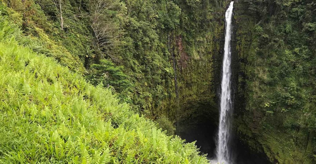 Akaka Falls, Hawaii - Family Vacations on the Big Island